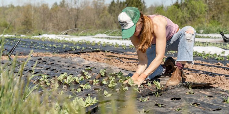 Imagen de cabecera del artículo dedicado a estudiar las 3 tendencias más importantes en innovación agrícola